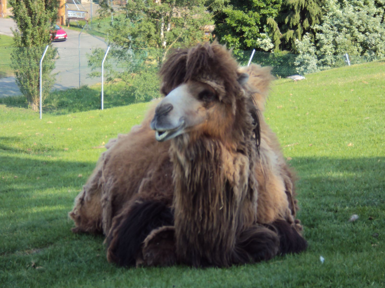 West Midland Safari Park